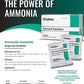 Safetec Ammonia Inhalant Pouches First Aid 10 per Box